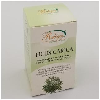 Capsule Ficus Carica,rafforza il Sistema Nervoso 400mg da 60 cps.