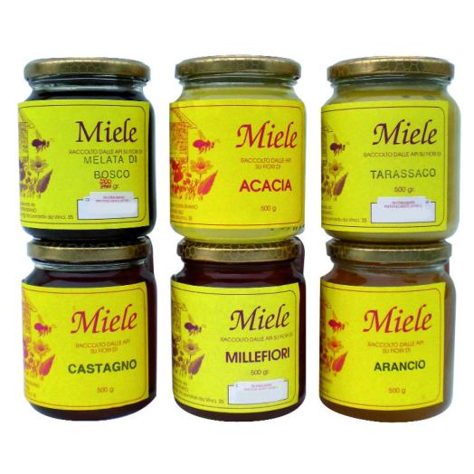 MIE017 - Miele Italiano di Melata di bosco in vaso da 500 ml